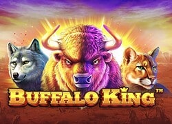 Buffalo King Golden Lady Casino Slot