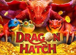 Dragon Hatch Golden Lady Casino Game