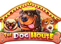 Dog House Golden Lady Casino Game